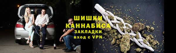 PSILOCYBIN Белокуриха